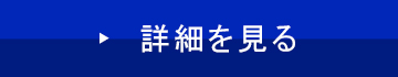 詳細を見る
