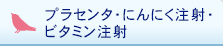 プラセンタ・にんにく注射・ビタミン注射